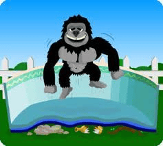 gorilla_in_pool-resized-600